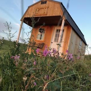 Montana Old West Cabins Guest House Babb Exterior photo
